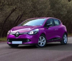 pneu-clio-4-violet